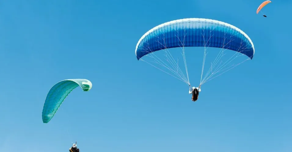Compare Champion Sports Multi-Colored Parachute vs Toddmomy Parachord Parachute